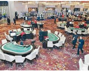 南宫app2024最新版